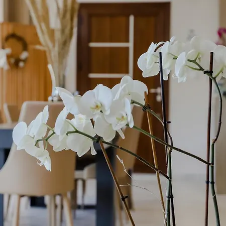 Endless Blue * PalaiónTsiflíkion