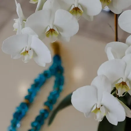 Endless Blue Lägenhet *