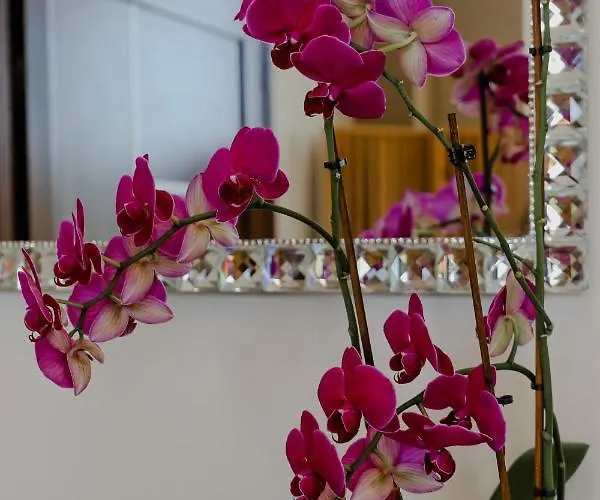 Appartement Endless Blue