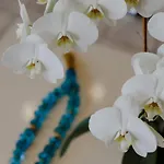 Endless Blue Lejlighed *