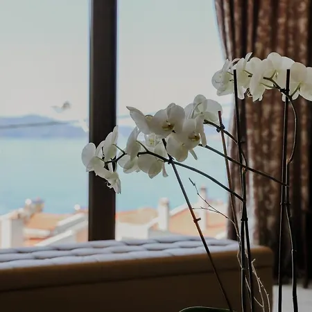 Endless Blue PalaiónTsiflíkion